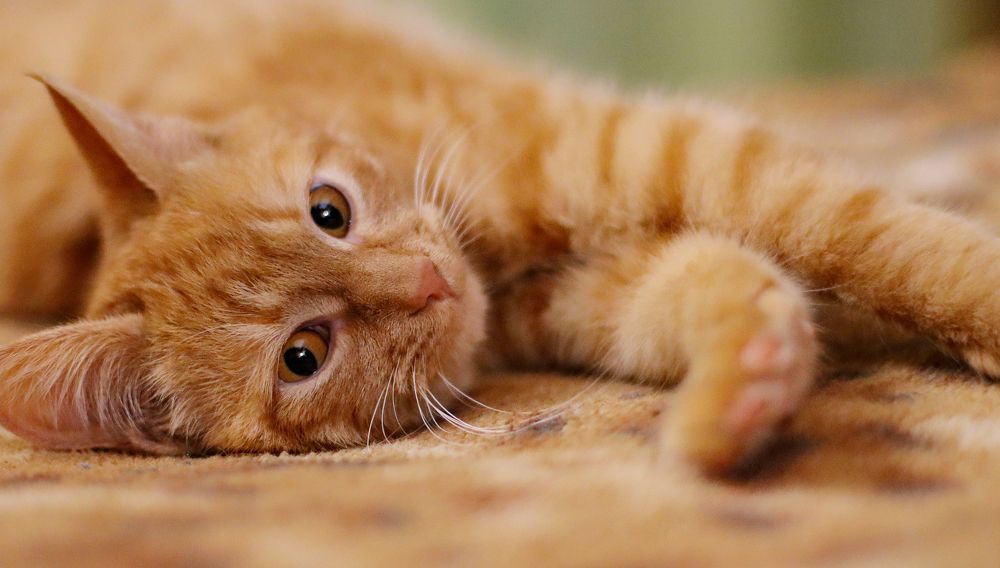 Photograph by Юлия Черкасова