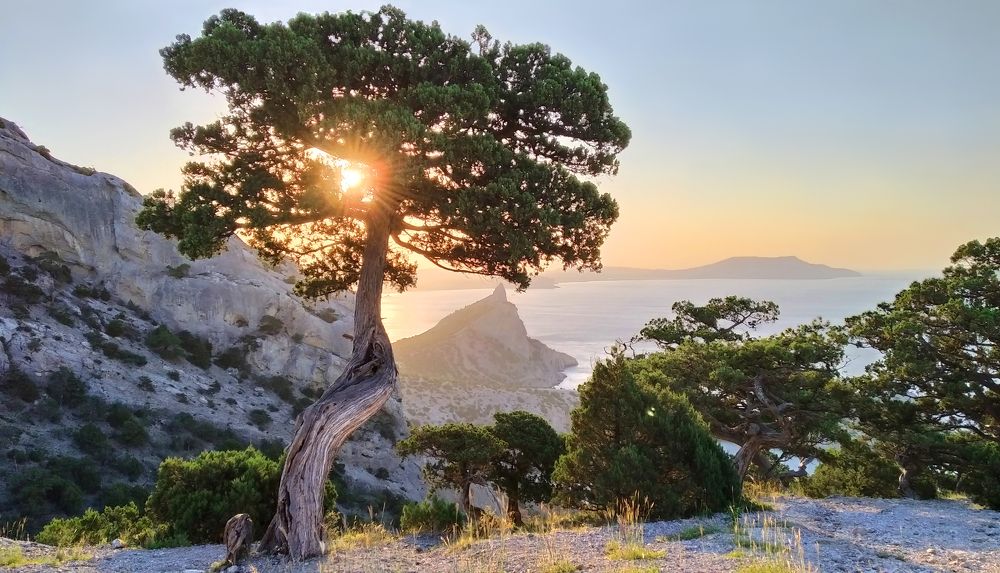 Фотография автора Кухта Мария