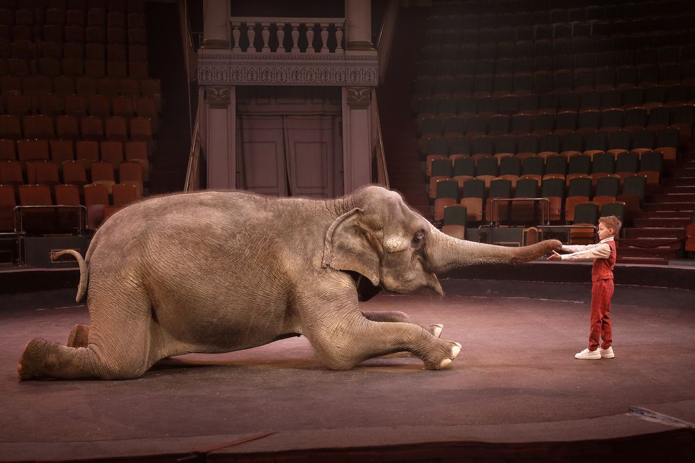 Photograph by Дарья Патук