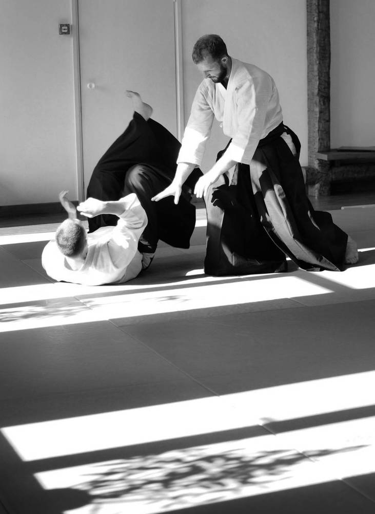 World in communication. Aikido.