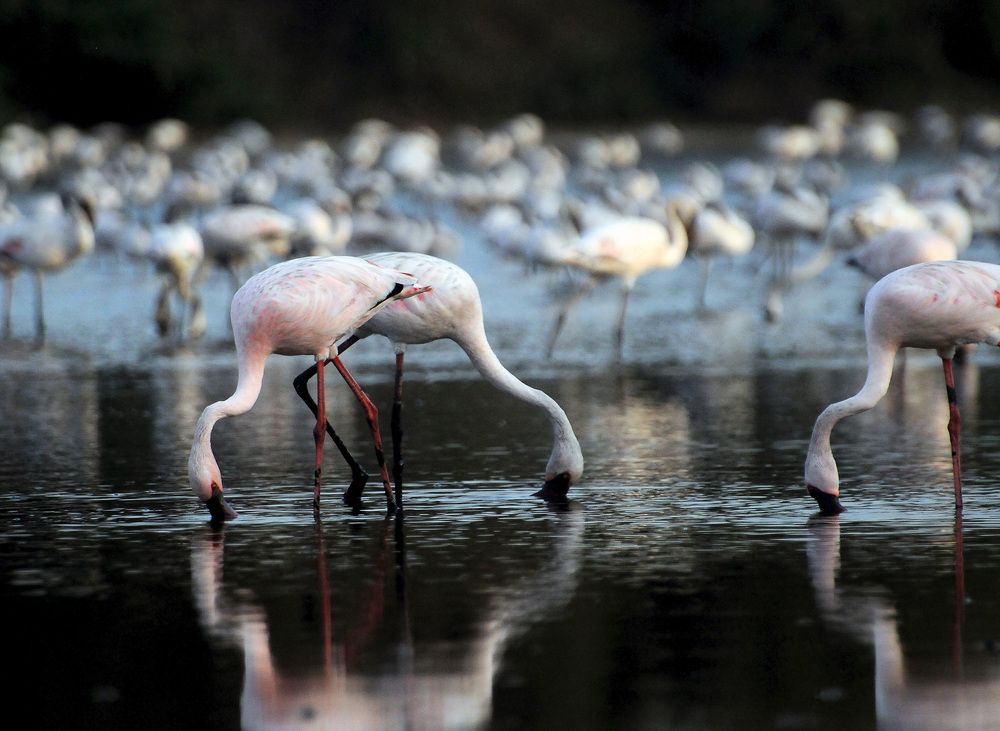 Photograph by Madhuli Mahulkar