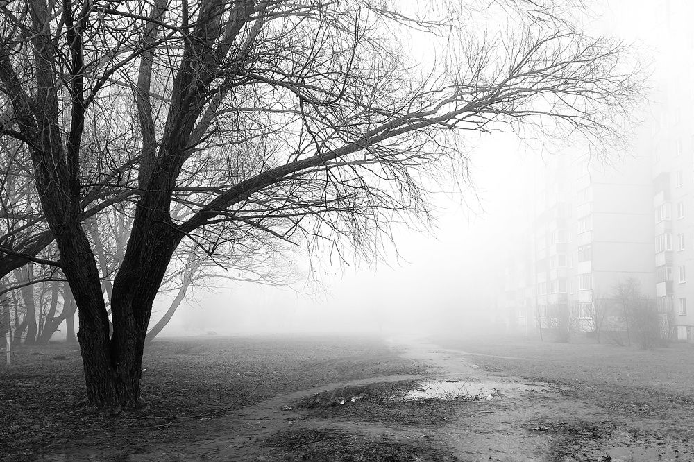 Photo #8859045