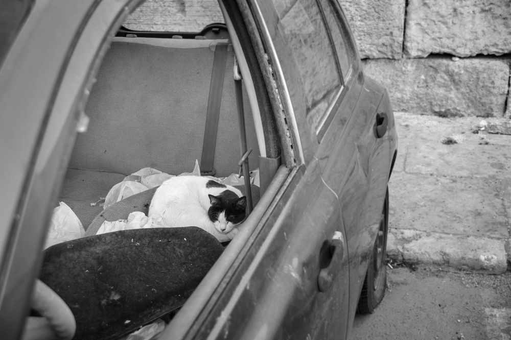 Photograph by Natalia Hidalgo