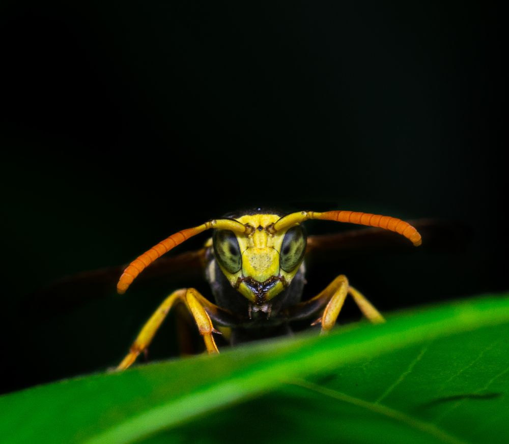 Photograph by Aly Amr