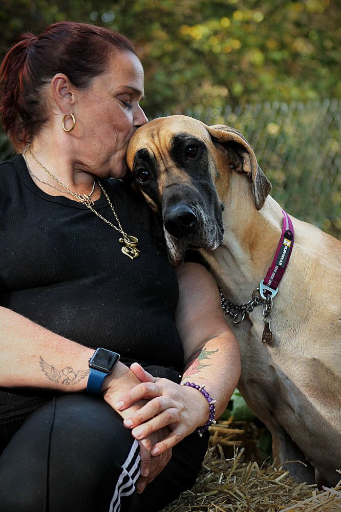 Photograph by Диана Ульянцева