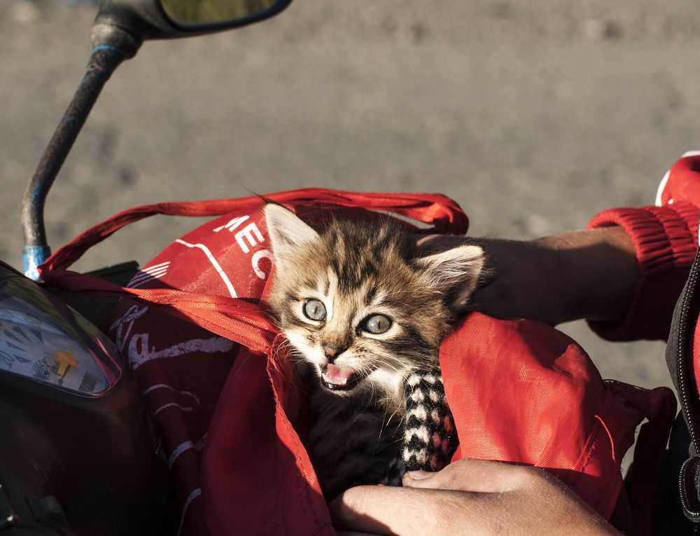 Photograph by Анатолий Миньков