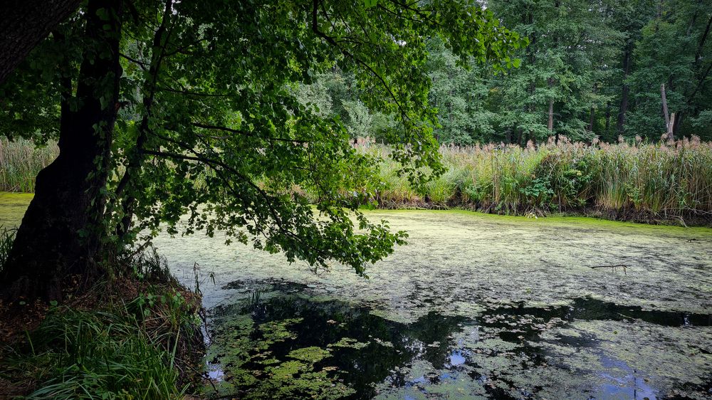 Photograph by Константин Числов