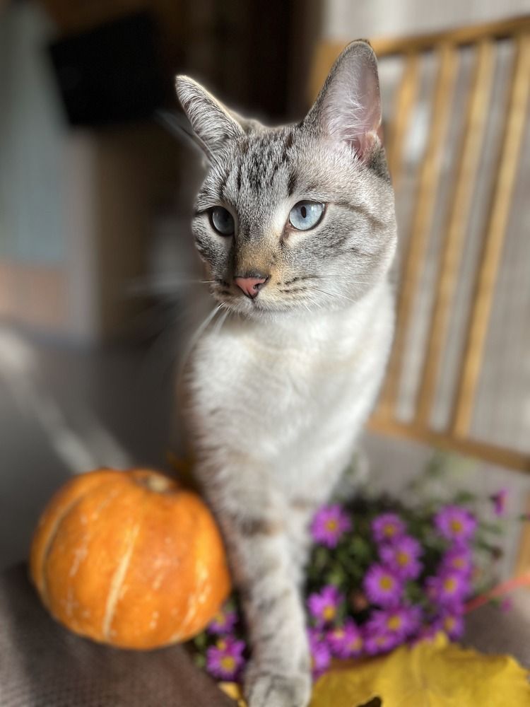 Photograph by Елена Карпухно