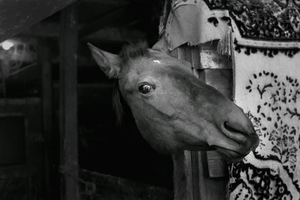 Фотография автора Елена Матросова