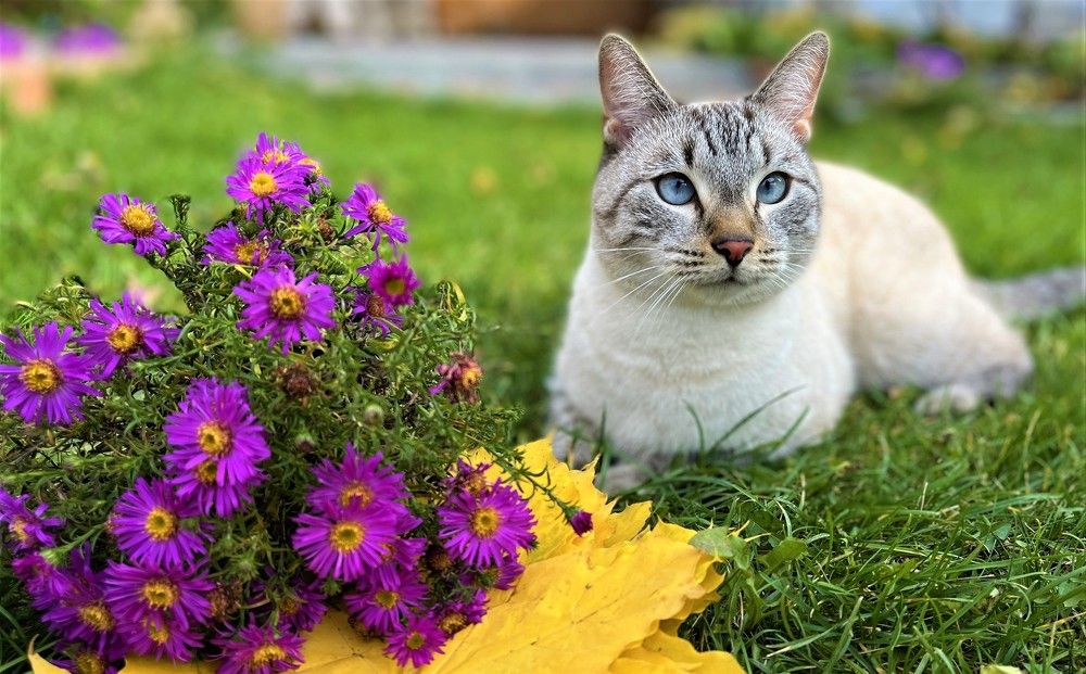 Photograph by Елена Карпухно