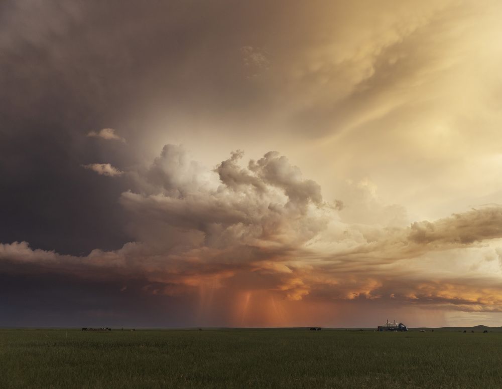 Photograph by ganzorig miimaa