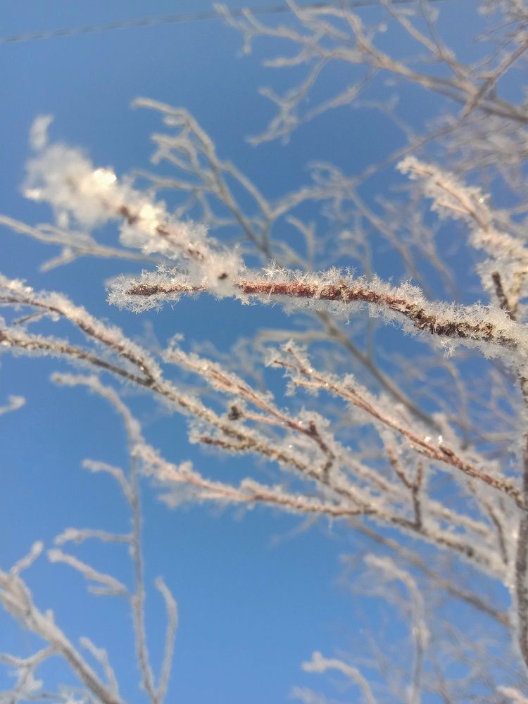 Photograph by Снежана Шепель