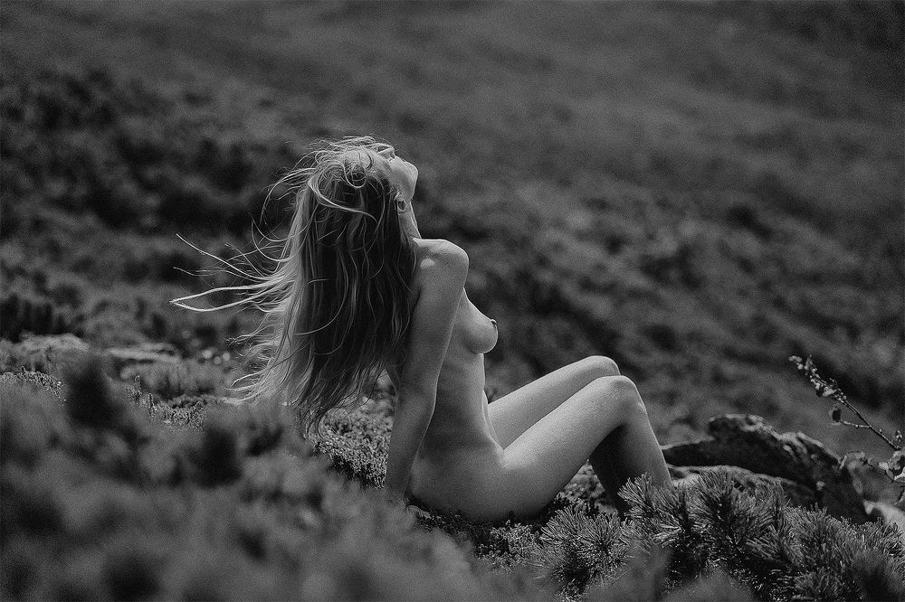 Фотография автора Эбингер Дмитрий