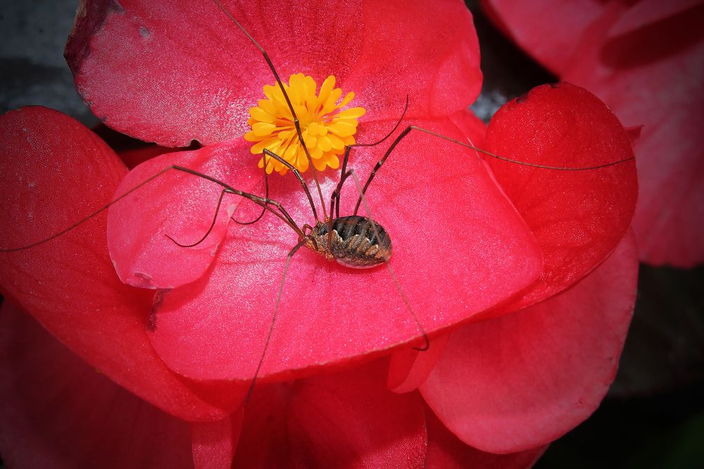 Photograph by Диана Ульянцева