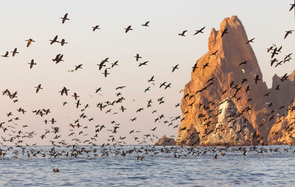 Photograph by SHE (Aiya) Таня