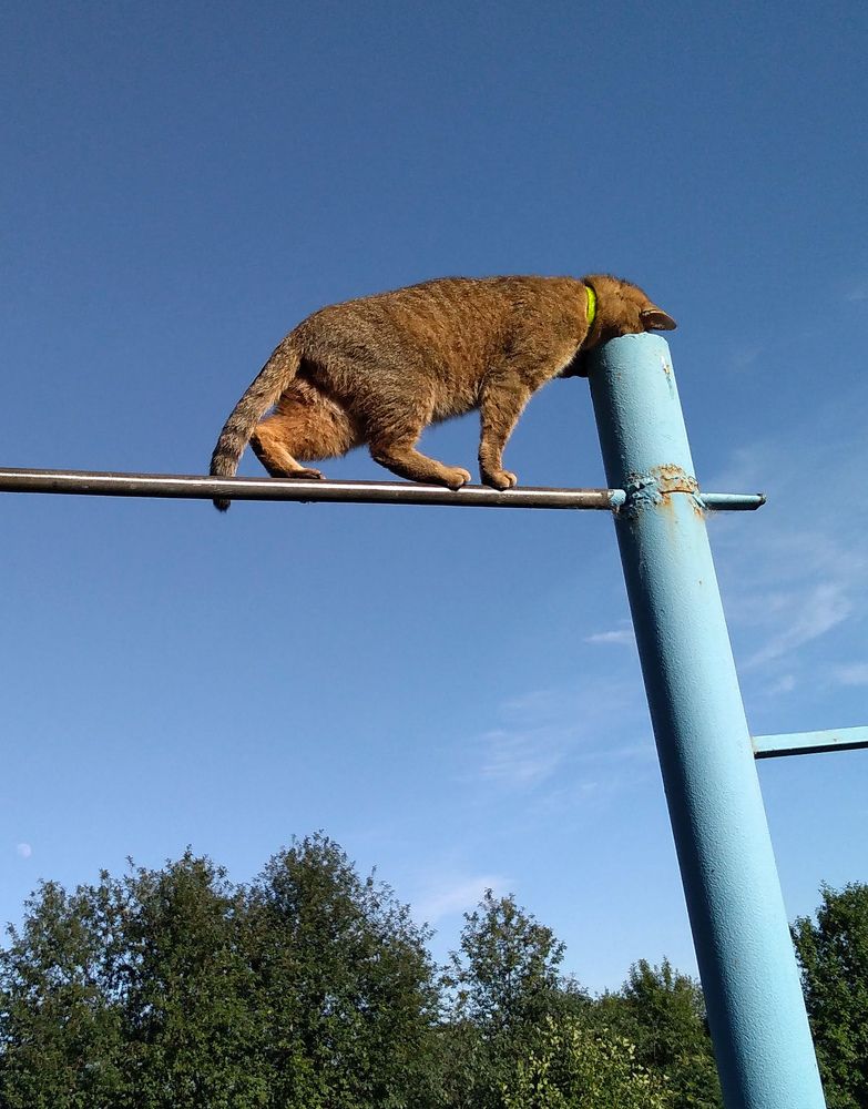 Photograph by Анатолий Миньков