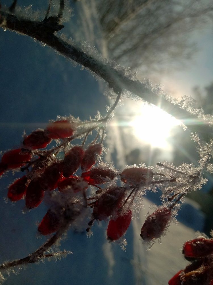 Photograph by Снежана Шепель