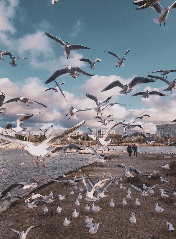 Photograph by Мария Погорелова