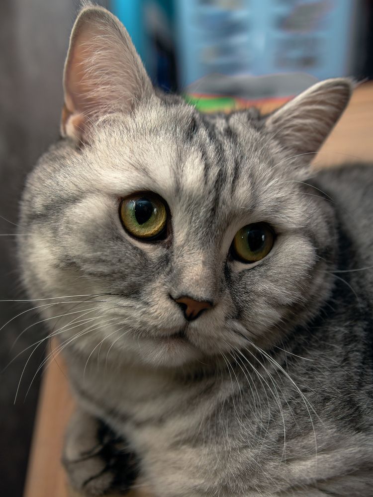 Photograph by Evgeny Pyatkov