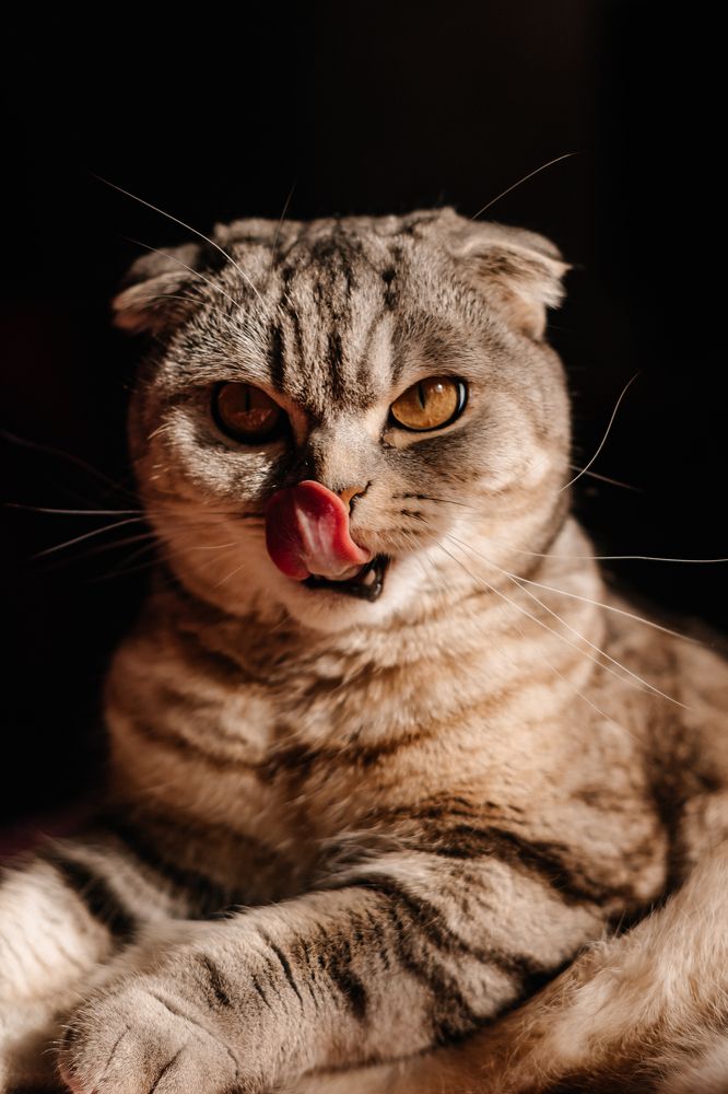 Photograph by Виктория Алиева