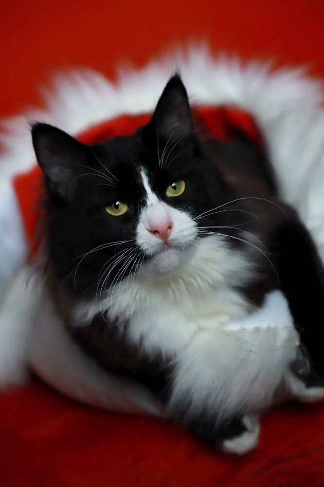 Photograph by Елена Сиднина