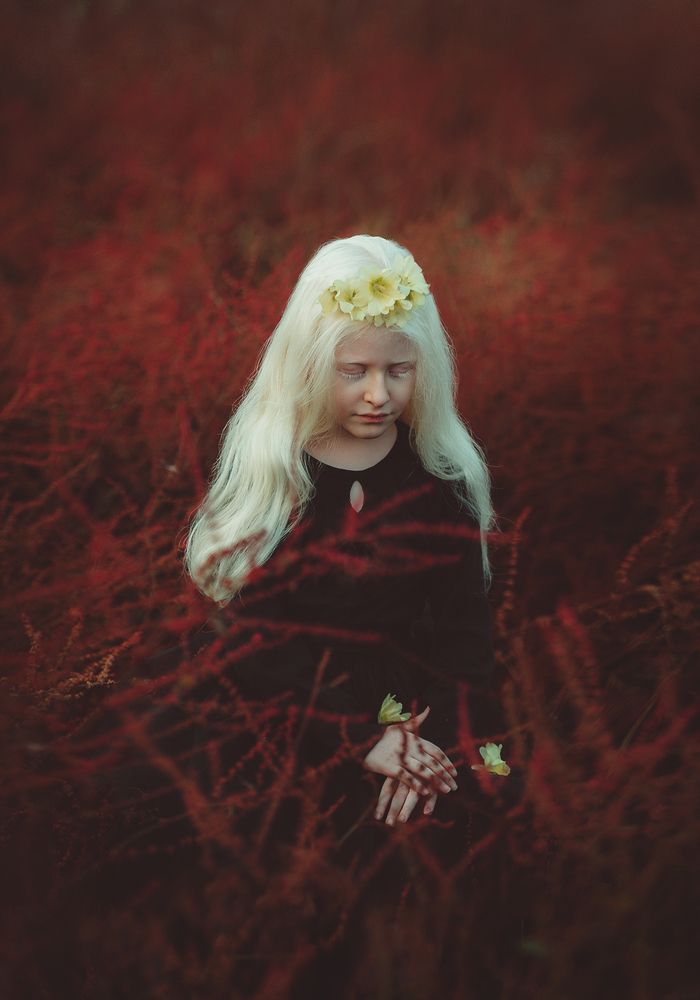 Photograph by Goldisgholami