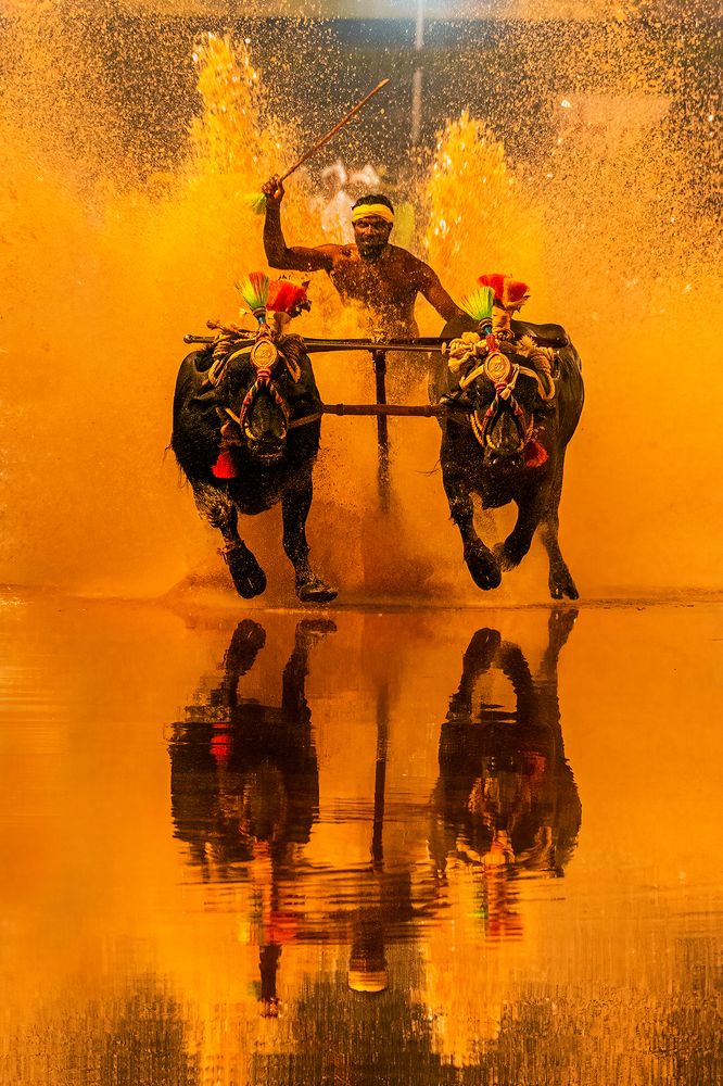 Photograph by VINOD KUMAR V K