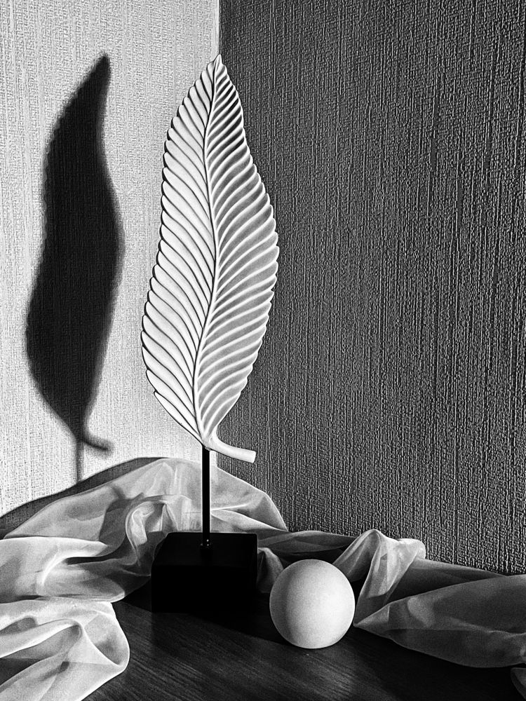 Фотография автора Рамзия Хисамутдинова