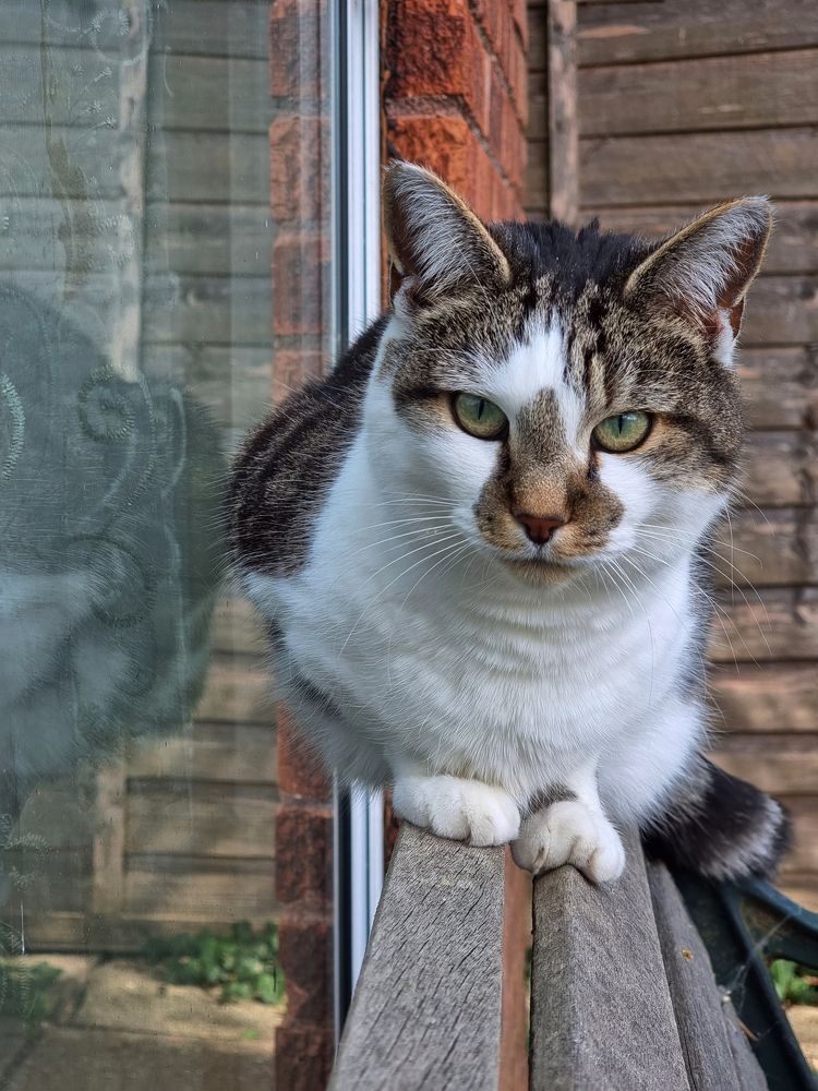 I am telling you....