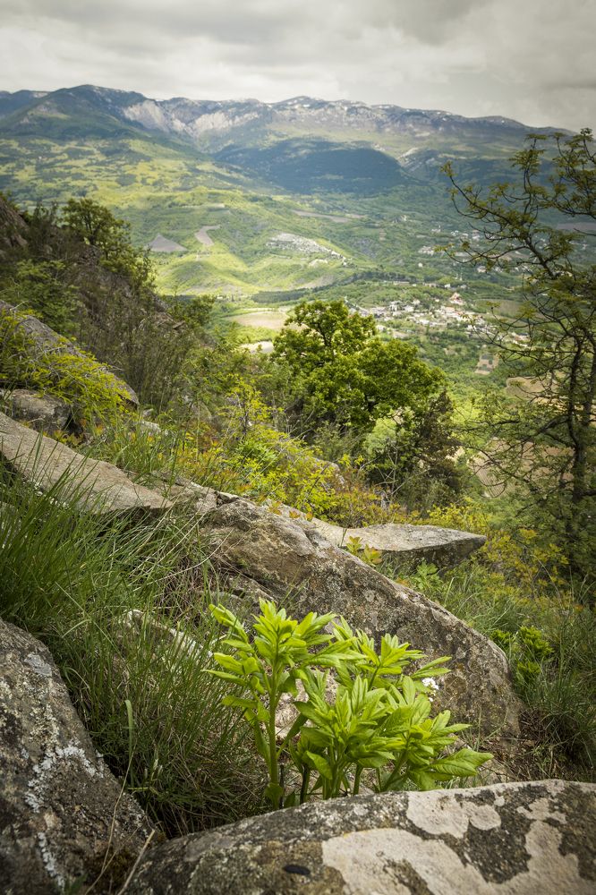 Photograph by Андрей Жучков