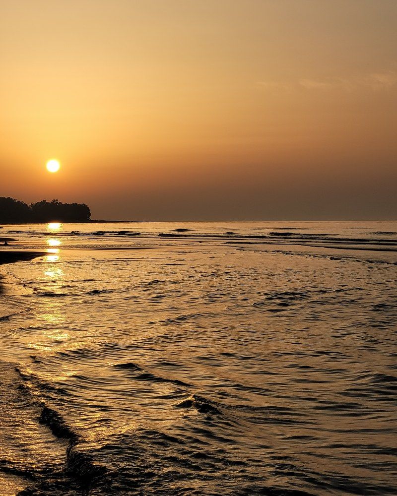 Photograph by najmeh hakimaei