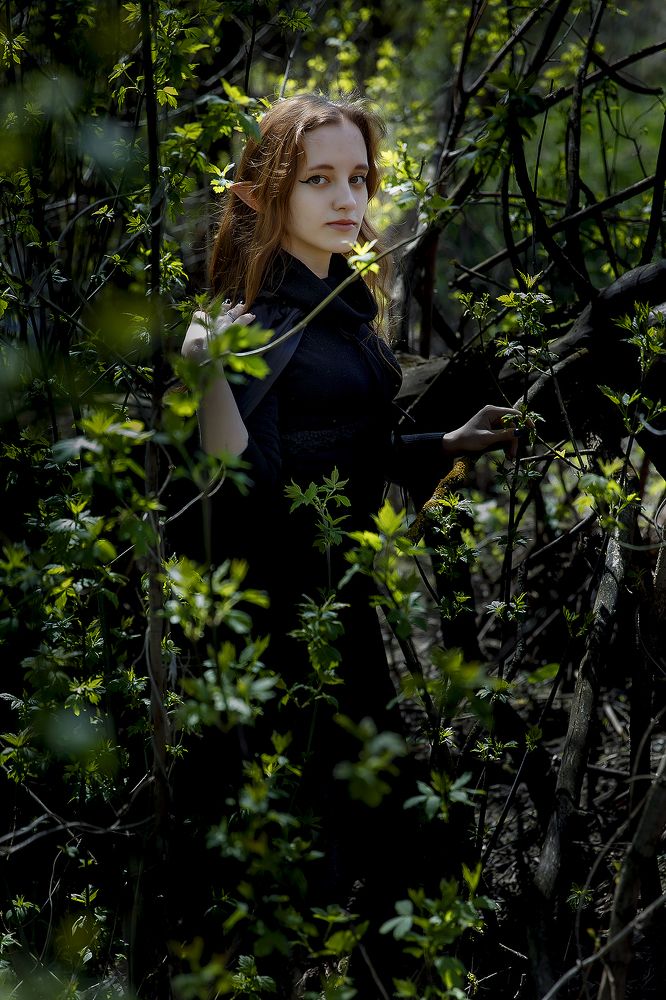 Photograph by Гринева Татьяна