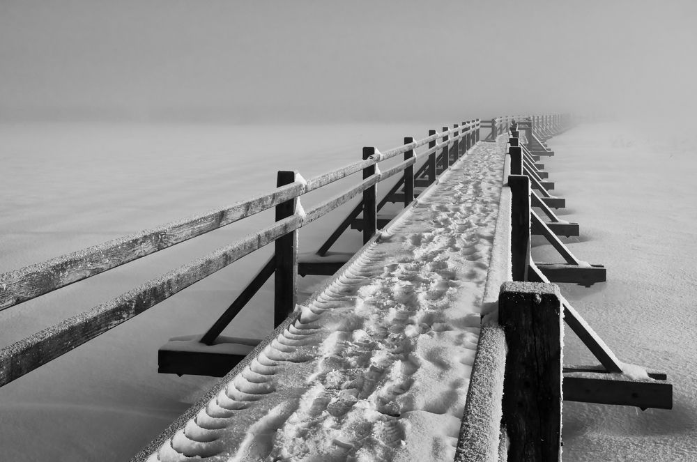 Photograph by Albina Kulikova