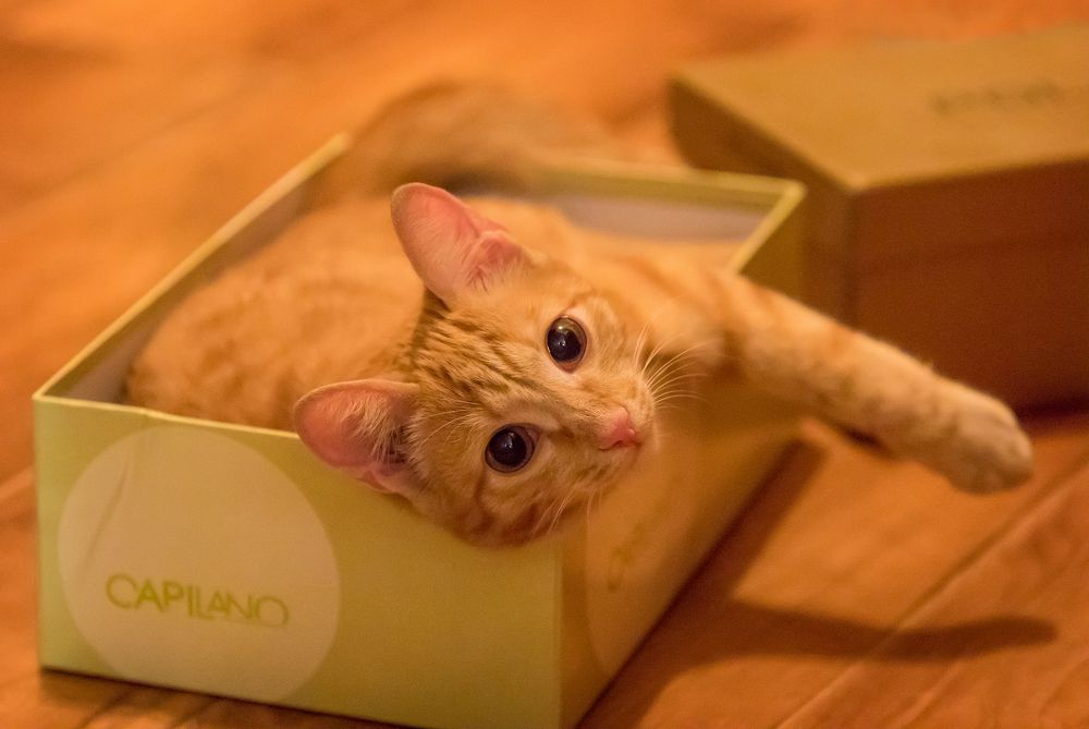 Photograph by Дмитрий Юдин