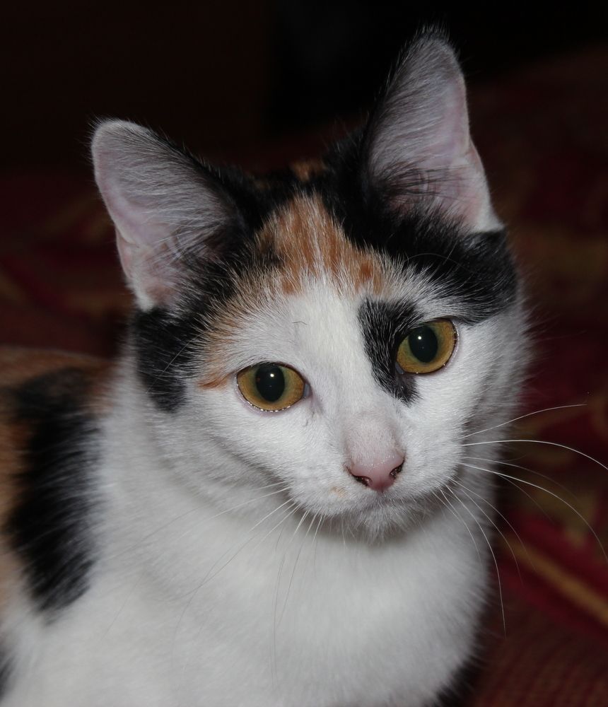 Photograph by Александр Велигура