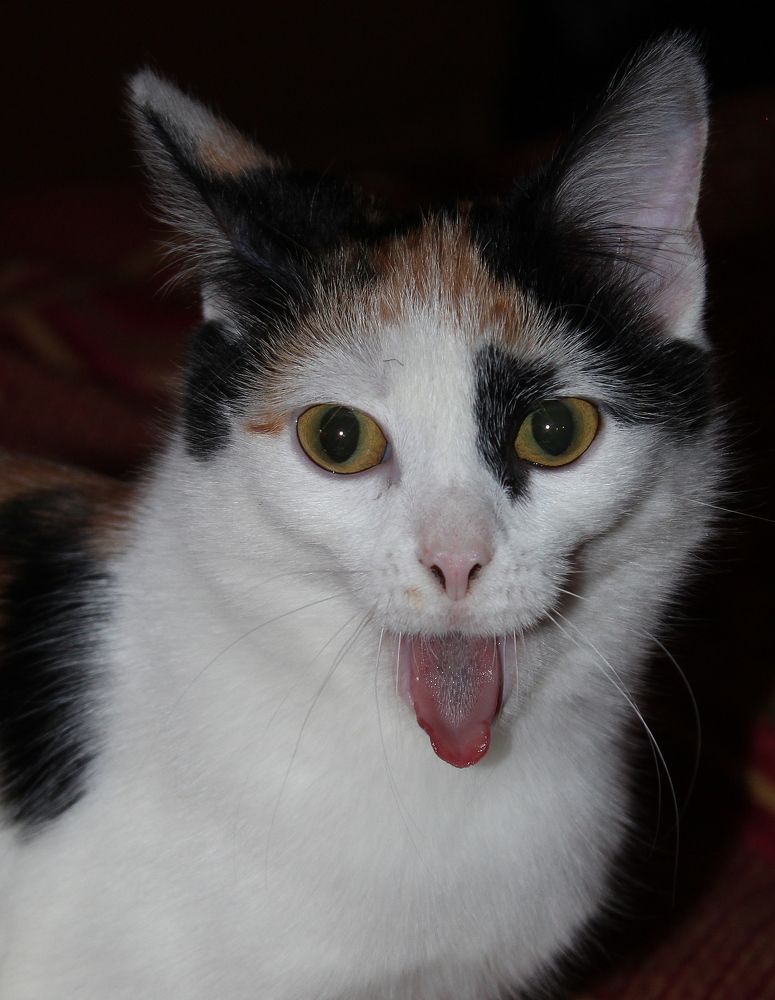 Photograph by Александр Велигура