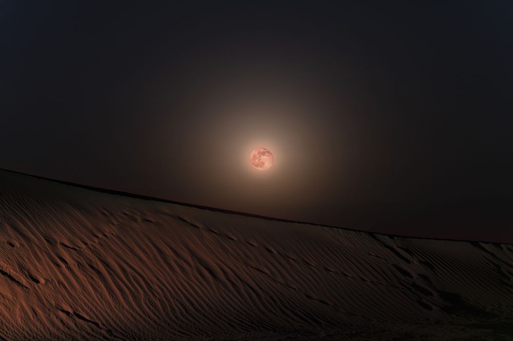 Фотография автора Ahmad Alhussaini