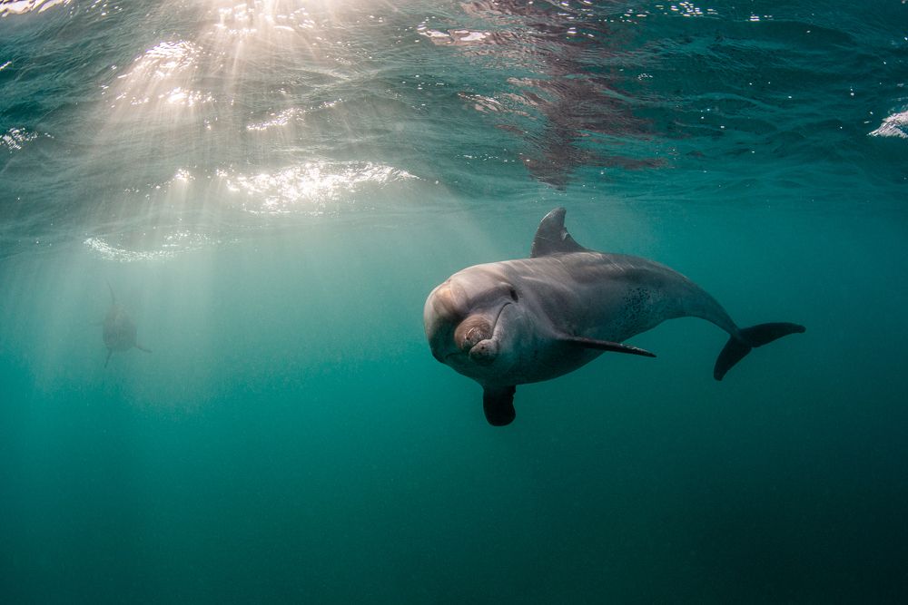 Photograph by Nadya Kulagina