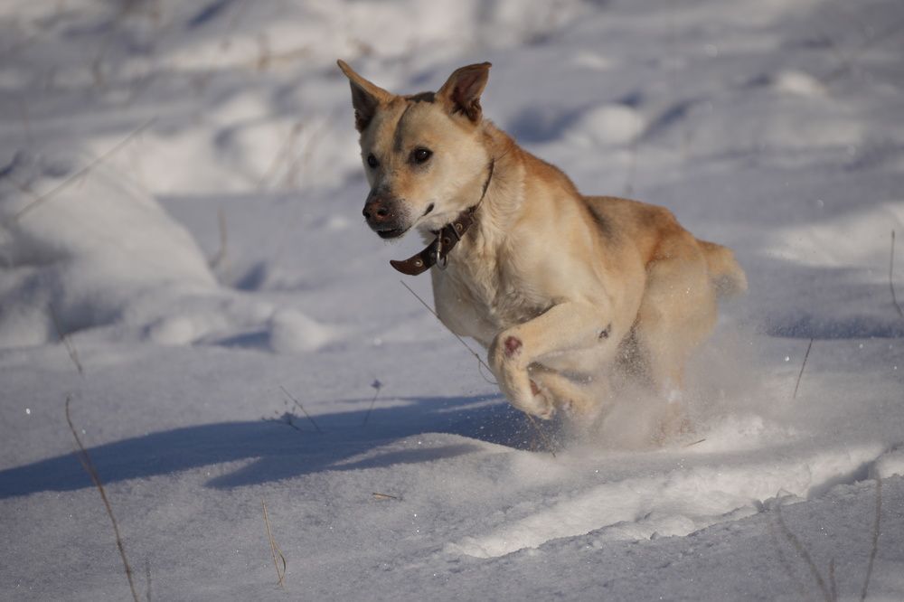 Photograph by Дарья Ринас