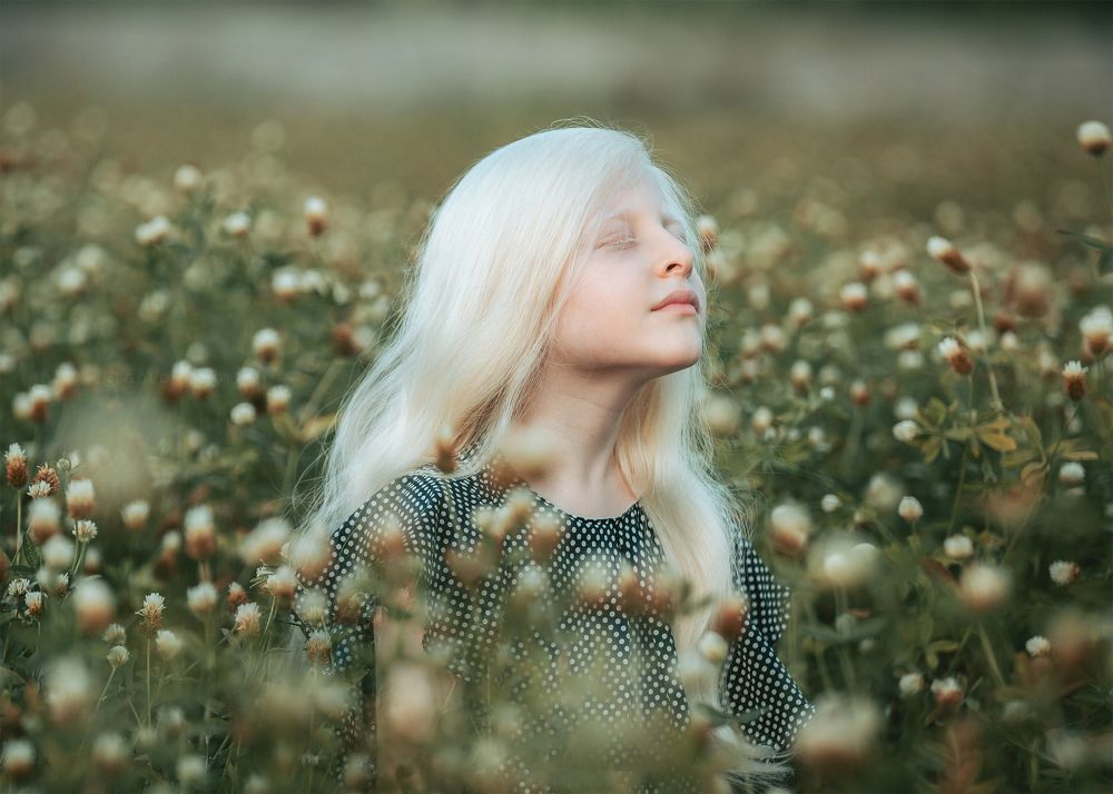 Photograph by Goldisgholami