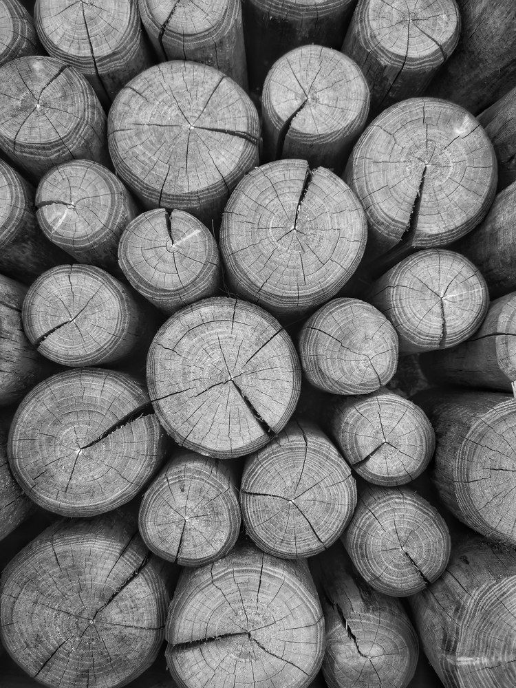 Photograph by Ингрида Кузнецова