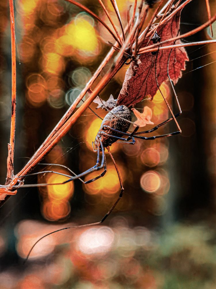 Photograph by Владос Апанасов