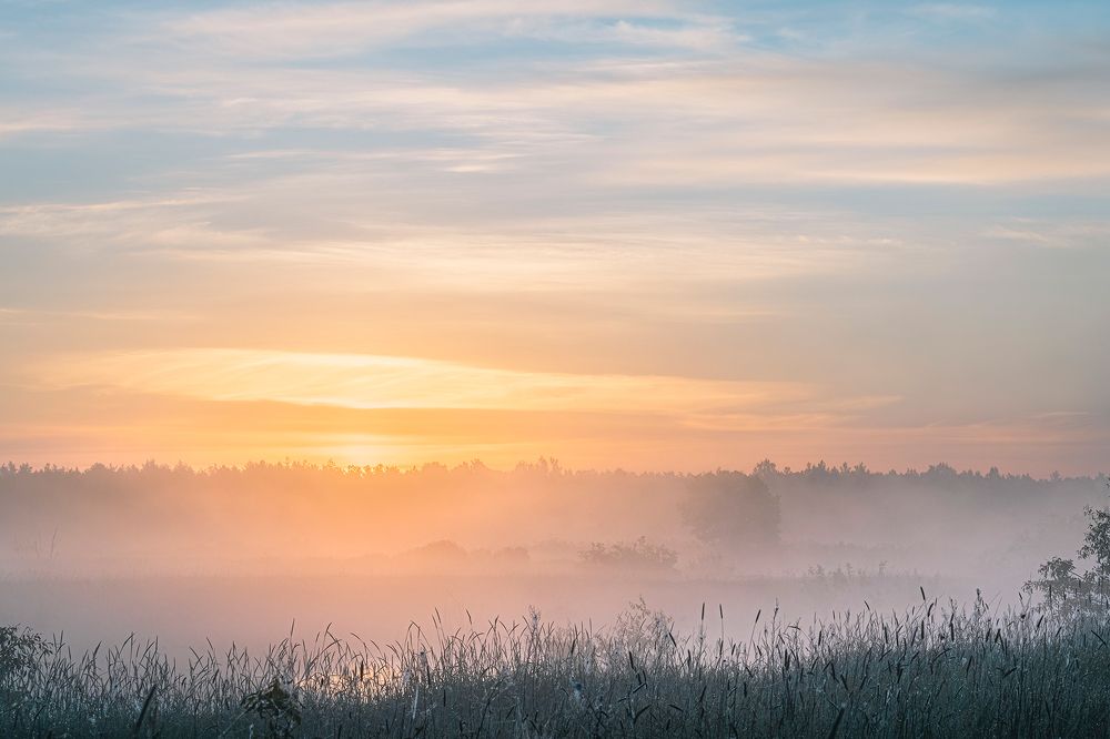 Туманный флёр