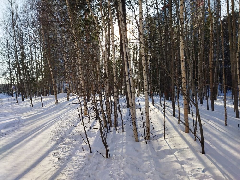 Photograph by Александр Дегтярев