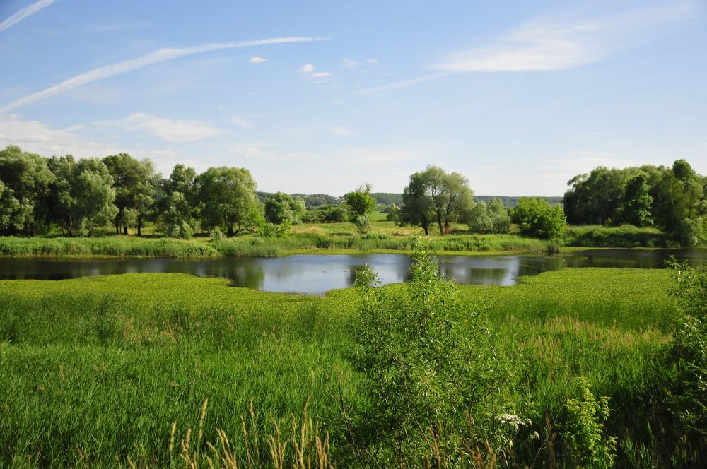 Photograph by Константин