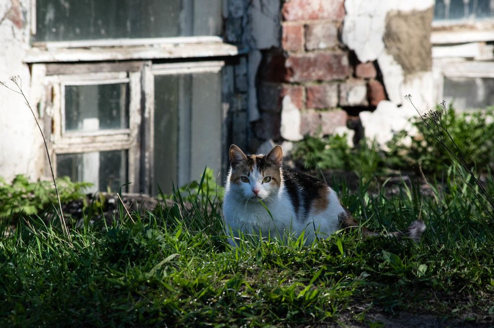 Photograph by Евгений Кузьмин