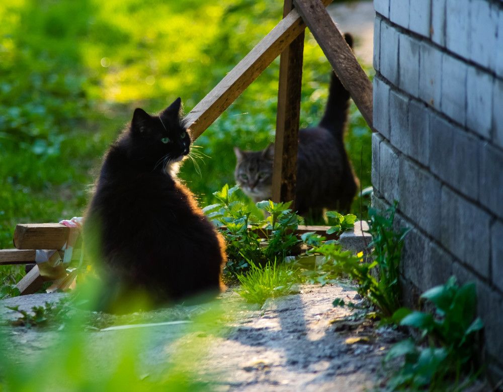 Photograph by Евгений Кузьмин
