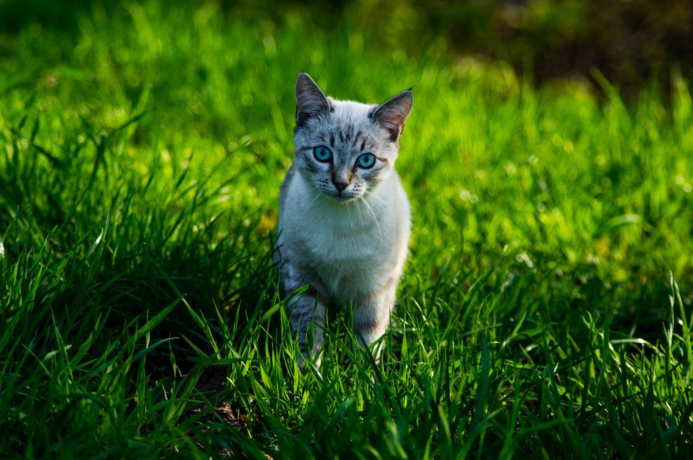 Photograph by Евгений Кузьмин