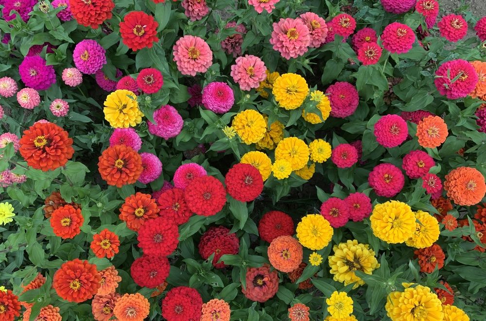 Photograph by Елена Смирнова