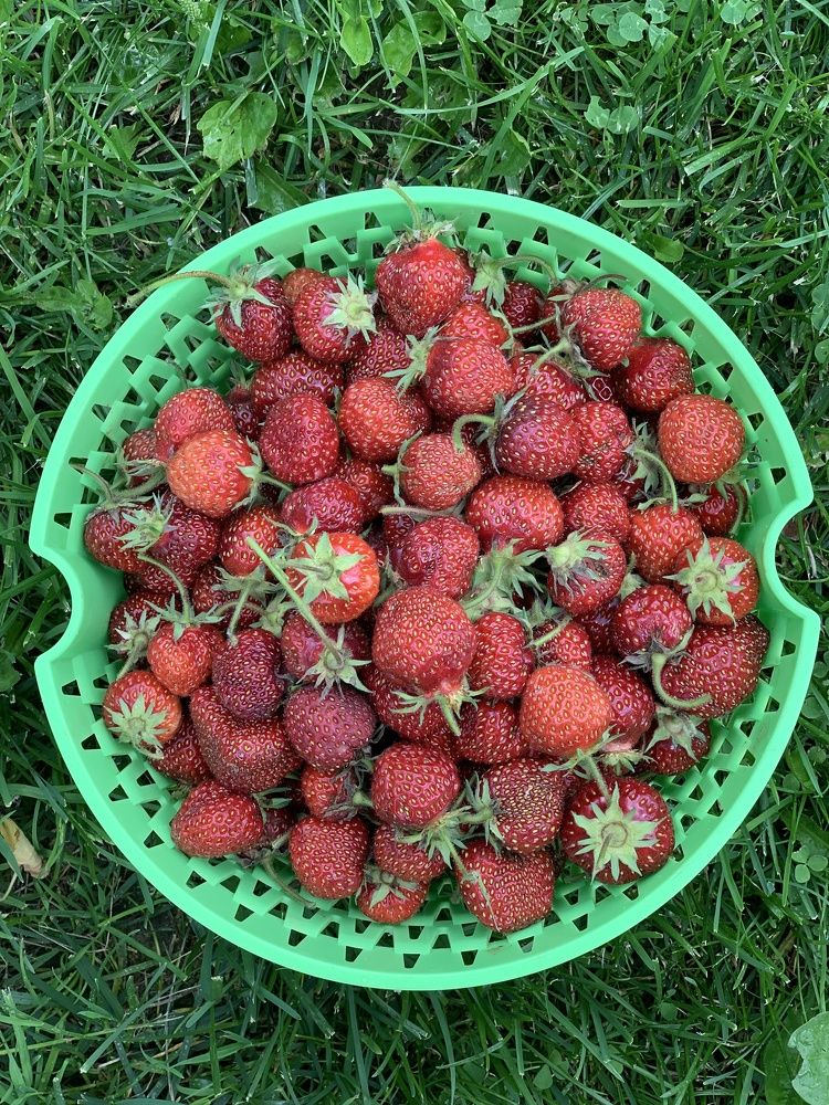 Photograph by Елена Смирнова